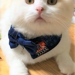 benizo様オーダー専用です！cocoちゃんリボンチョーカー2点セット