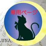rinnosukemam様専用ページ