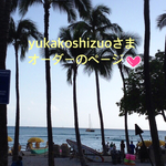 yukakoshizuoさまオーダーのページ♡ホヌのポーチ
