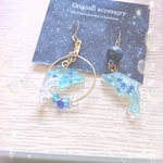 送料無料星イルカのショータイムピアス