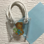 透明バッグ ブライスサイズ