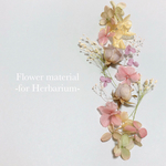 ハーバリウムキット❁ミニ薔薇MIX① 花材 あじさい・ミニバラ・モリソニア プリザーブドフラワー
