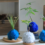 カラフル苔玉 3個セット♪