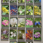 何度も貼って剥がせる☆フィルム風フレークシール