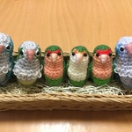 peechan55さま♡ご注文専用ページ:コザクラインコちゃん（ノーマル・シーグリン）・オキナインコちゃん（ブルー・グリーン）セット