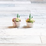 ココットに入った小さな寄せ植え③