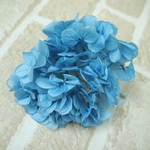 【単品】紫陽花プリザーブドフラワー「セイヨウライトブルー」大地農園