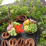 多肉の寄せ植えメモスタンド