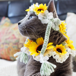 猫用 向日葵🌻襟カラー