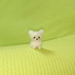 チワワ クリームゴールド パピー 羊毛フェルト