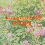 toragoro1728様専用画面