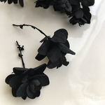 あじさい  ブラック  カシワバアジサイ