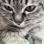 A 様 専用ページ