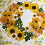 ♡new♡ 送料無料！¥1020 ♡たっぷり押し花セット♡