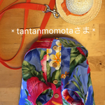 ❇︎tantanmomotaさまオーダー❇︎アロハーネスセット