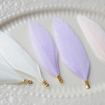 New！６個★鳥の羽パステルカラー　チャーム　