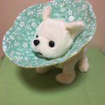【受注製作】花型エリザベスカラー 犬猫用
