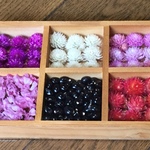 お花屋さんが作ったちょこっとset  No④