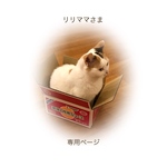 リリママさま 専用ページ