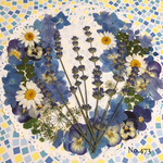 ♡new♡ 送料無料！¥1220 ♡たっぷり押し花セット♡