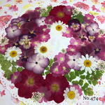♡new♡ 送料無料！¥1530 ♡たっぷり押し花セット♡