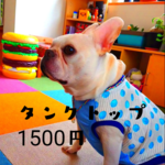 《フレンチブルドッグ》カルピスタンクトップ