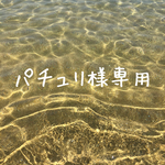 パチュリ様専用