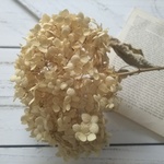 ＊maple tree様専用ページ＊