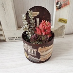 リメ缶S　多肉寄せ植えB