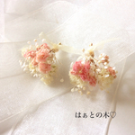 ♡アンティークピンクのかすみ草 miniイヤリング/ピアス 春 桜色