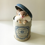 ひょっこりするしまりすちゃん