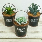 ⭐ri様お取り置き作品⭐ブリキ缶のフェイクとサボテン多肉植物3点セット