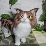 ノルウェージャンフォレストキャット