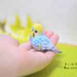 観賞用)ちっちゃリアル(寄り)なインコさん)C(セキセイインコ)