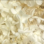 特価 【再販35】ソフトピラミッド オフホワイト 紫陽花
