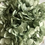 特価【再販13】ソフトピラミッド ブルーグリーン  紫陽花