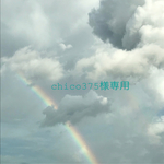 chico375様専用ページ