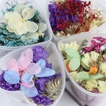 ドライフラワーの詰め合わせ Ｉ　押し花　レジン　ハーバリウム　お花