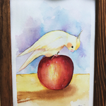 水彩画 オカメインコ