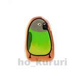 シモフリインコ 鳥 プラ板ブローチ 2258