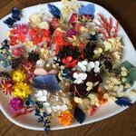 お花屋さんが作ったちょこっと花材mixset
