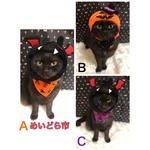 ハロウィン猫ちゃんの首輪、バンダナ