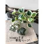 オーダー: hisako様専用ページ（送料込み）