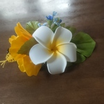 髪飾り(フラクリップ)