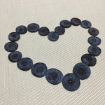 押しフルーツ  押しブルーベリー