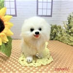 チャーム付きポメラニアンのお座り　Ⅿ