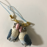 ☆Thanks a lot様専用☆ブルーボタンインコ