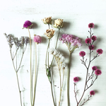 ✳︎New✳︎Pink color dry flower kit