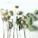 ✳︎New!✳︎Natural dry flower kit