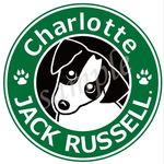 pupuさま専用画面（ジャックラッセル_直径15ｃｍ）2枚セット